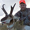 Antelope, October 5, 2007