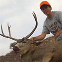 Mule deer, October 3, 2006