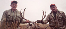 October 2004, mule deer