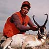 Pronghorn antelope
