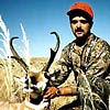 Pronghorn antelope