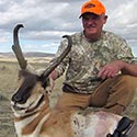 Pronghorn antelope, October 2014