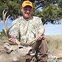 Mule deer, October 2014