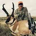 Pronghorn antelope, October 2014
