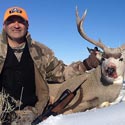 Mule deer, October 5, 2013