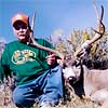 Mule deer, October 2, 2006