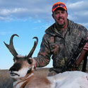 Pronghorn antelope, October 2014