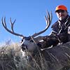 Mule deer, October 7, 2005