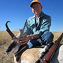 Pronghorn antelope, October 2014