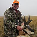 Pronghorn antelope, October 2015