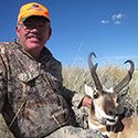 Pronghorn antelope, October 2014