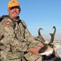 Pronghorn antelope, October 3, 2013