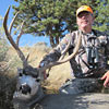 Mule deer, October 10, 2011