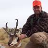 Pronghorn antelope, October 11, 2005
