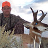 Antelope, October 2006