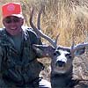 Mule deer, October 1, 2007