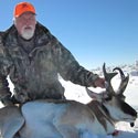 Pronghorn antelope, October 5, 2013