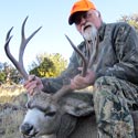 Mule deer, October 2, 2013