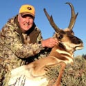 Pronghorn antelope, October 1, 2013