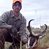 Pronghorn, October 7, 2007