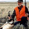 Pronghorn antelope