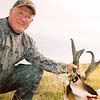 Pronghorn antelope, October 4, 2008