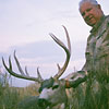 Mule deer, October 4, 2011