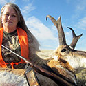 Pronghorn antelope, October 2014