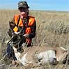 Pronghorn antelope, October 7, 2008