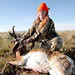Pronghorn antelope, October 2014
