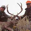 Mule deer taken 10/8/01