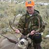 Mule deer, October 11, 2006