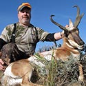 Pronghorn antelope, October 2014