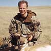 Pronghorn antelope