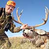 Mule deer taken October 2005