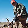 Pronghorn, October 2, 2007