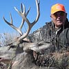 Mule deer taken on October 1, 2010