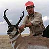 Pronghorn antelope