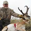 Pronghorn antelope, October 4, 2009