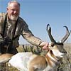 Pronghorn antelope, October 2, 2008