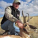 Pronghorn antelope, October 2014