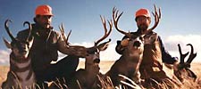 Antelope and mule deer combination hunt
